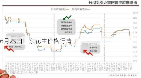 山东花生米价格最新行情,山东花生米价格最新行情分析