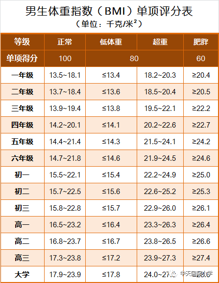 2022最新标准体重表,最新标准体重表，关注健康，重塑自我