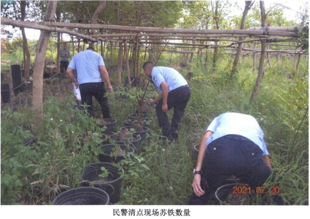 植物大战僵尸最新破解版下载,植物大战僵尸最新破解版下载，违法犯罪的警示