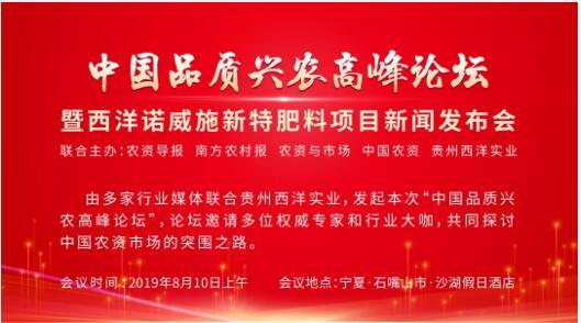 最新政治口号,最新政治口号，引领未来，共创繁荣