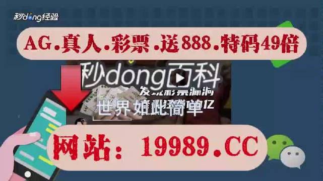 2024澳门天天开好彩免费大全,澳门天天开好彩背后的真相与风险警示