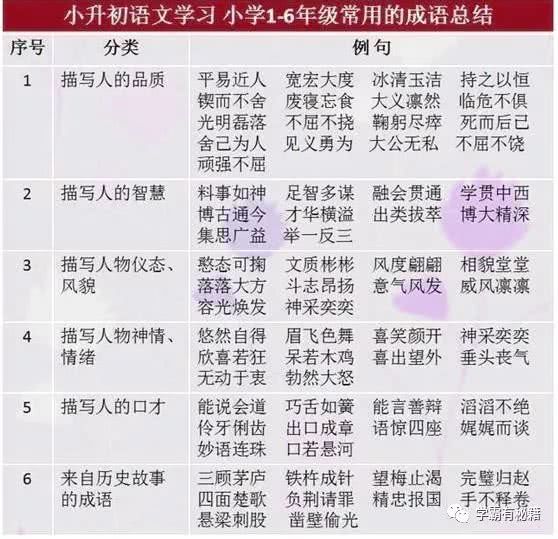 2024新澳免费资料成语平特,探索2024新澳免费资料成语平特现象