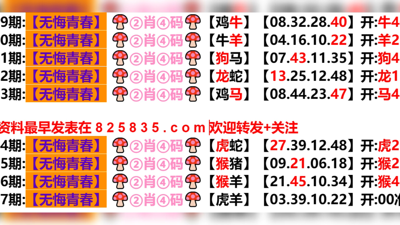 2024新奥门天天开好彩大全85期,新奥门天天开好彩大全 85期精彩回顾与展望