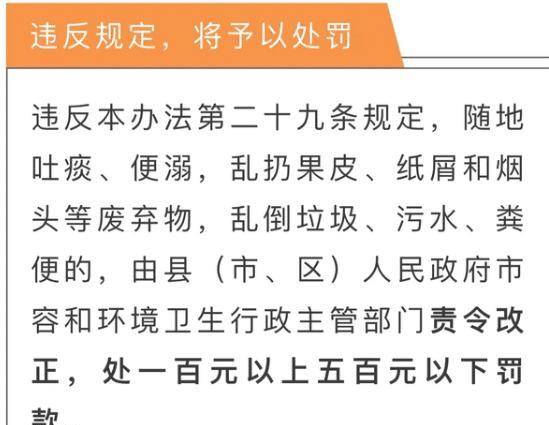 最精准的三肖三码资料,揭秘最精准的三肖三码资料，探寻背后的秘密