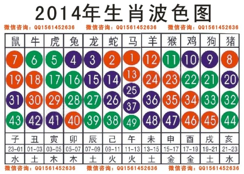 2025十二生肖49码表,揭秘十二生肖与彩票码表，探寻神奇的2025年十二生肖49码表