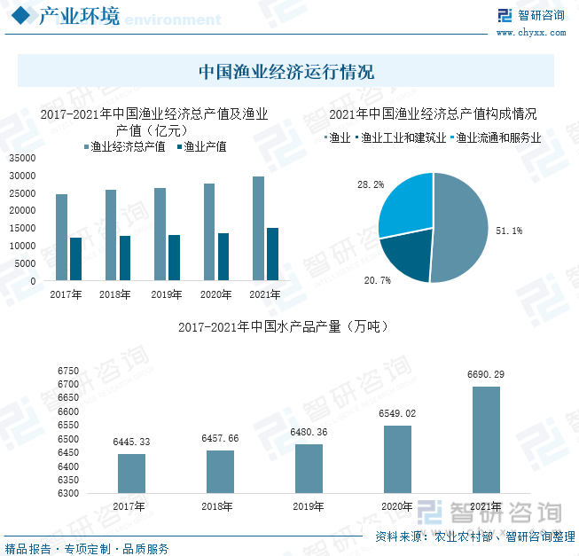 笨鸟先飞 第4页