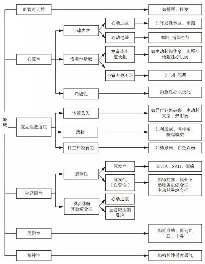 777778888王中王最新,探索数字背后的秘密，揭秘王中王最新777778888现象